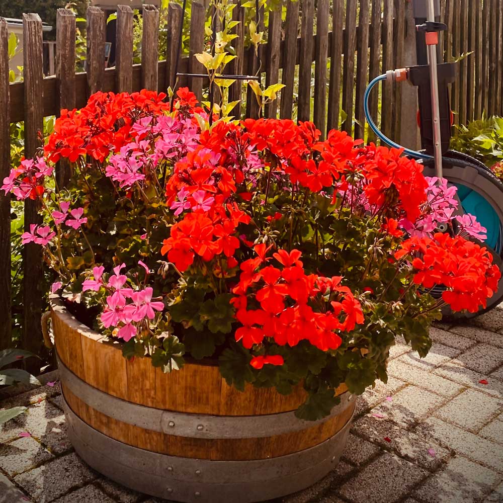 Blumenkübel