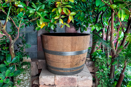 Pflanzkübel aus Weinfässern