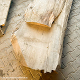 eiche-holzbohle-getrocknet