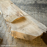 bohle-aus-eichenholz-kaufen